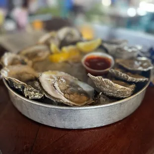 Oysters