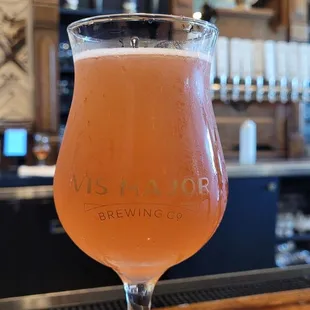 Summer Seeds watermelon gose