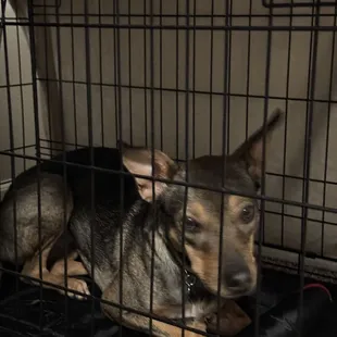 They got me locked up