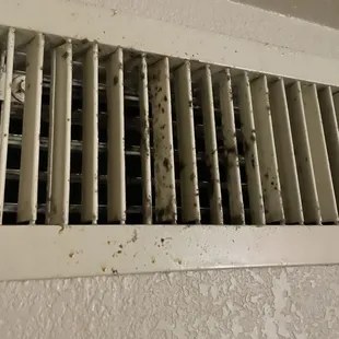 Black mold growing in vents.