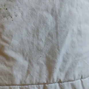 Another shot of beg bugs evidence