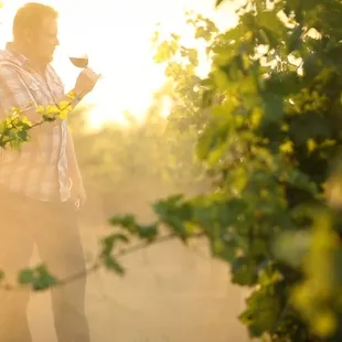 Local Winemaker, Jeff Farthing of Michael David Winery