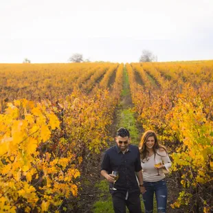 Walking through the vineyards with Lodi Wine in hand.