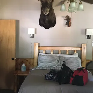 Room 11 at the lodge. Anyone recognize the theme above the bed?