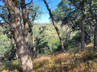 Oak Flat Campground