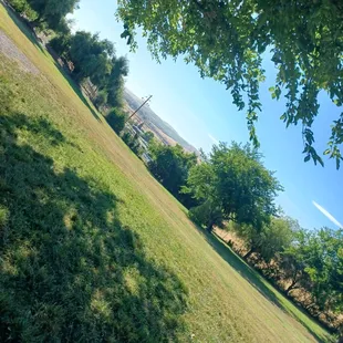 Vista Meadows Dog Park