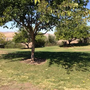 Nice Quiet &amp; Large dog park