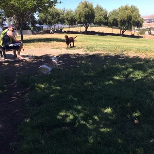 Tater making friends!