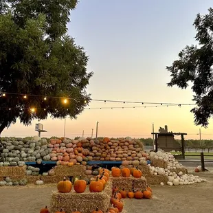 pumpkins and hay bales