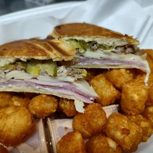 a cut in half sandwich and tater tots
