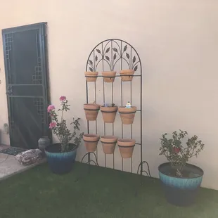 a garden with potted plants