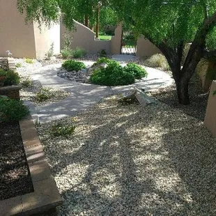 a garden with a tree and a bench