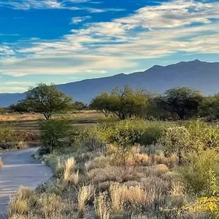 Vistoso Trails Nature Preserve. Beautiful!