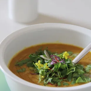 vegan red lentil + carrot soup  with microgreens