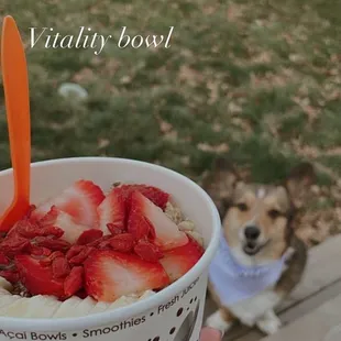 Vitality Bowl