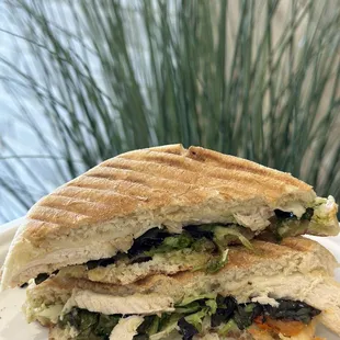 **Power Panini: 6.5/10** - Decent, but the thin chicken layer lacked flavor. Extra pesto sauce improved it.