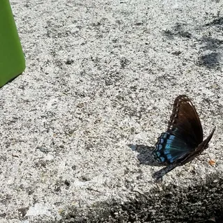 BALANCE