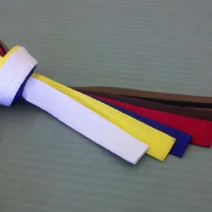 Color Belt... where it all begins.