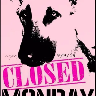 See you all on Tuesday at noon!