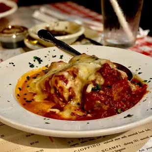 Half plate lasagna