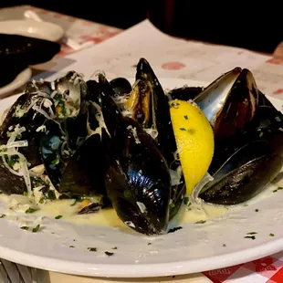 Mussels
