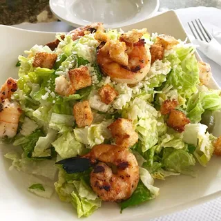 Prawn Salad