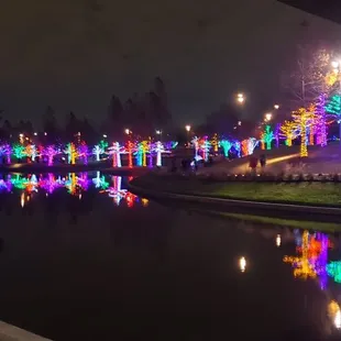 Holiday Lights