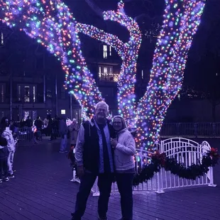 You have to take a picture in front of this tree! We did!