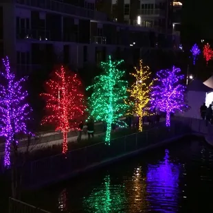 Lighted trees!