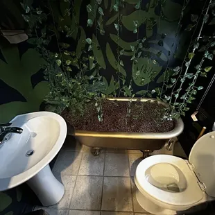 Bathroom with coffee beans in a bathtub