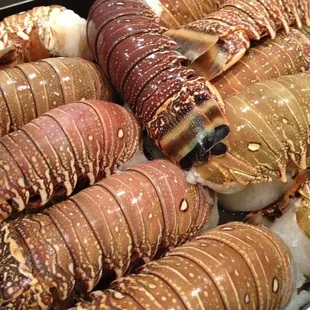 Roasted Lobster tail for 22 people!