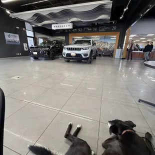 Viva Dodge Chrysler Jeep Ram