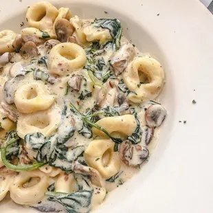 Special of the day...Tortillini Al Forno