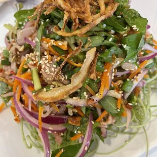 Vietnamese Beef Carpaccio Salad