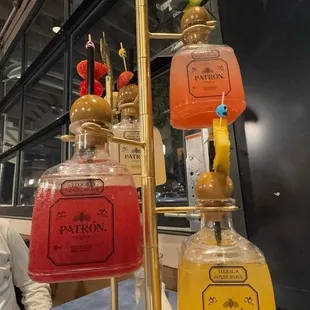 Patrón Flight