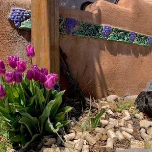 purple tulips in front of a adobe building