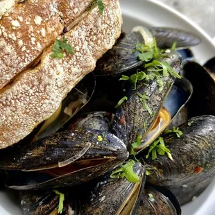 Steamed Pei Mussels