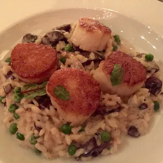 Risotto*