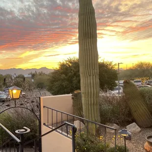 View from the patio.