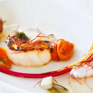 Scallops