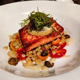 Salmon