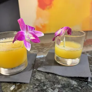 Vive hotel reception