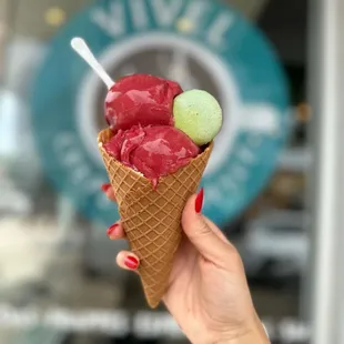 Vivel's Sorbet Waffle Cone.