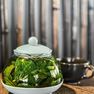 Moroccan Fresh Mint Gun Powder