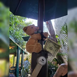 Up to no good with Auntie Jenn!  She's so much fun! #aunts #vivians #millenium #cafe #viviansmilleniumcafe #bourdibear #mortimerthebear