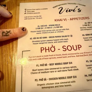 A1. Spring Rolls selection