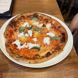 Funghi Pizza Margarita Pizza