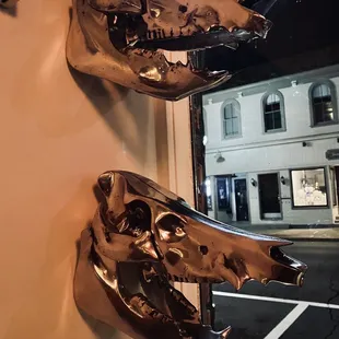 Boars?