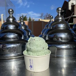 The best mint chocolate chip I ever had!