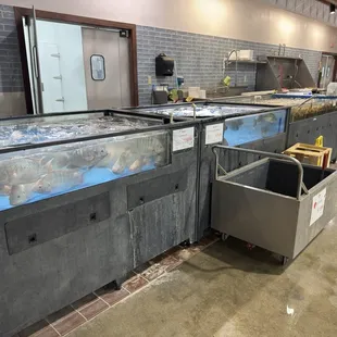 Live seafood tanks
